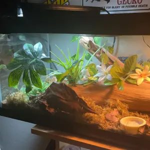 T5 Reptile Light Fixture Combo Kit 24W Light Fixture Reptile Terrarium Hood 10.0 UVB Light Bulb dimmable Fluorescent Tube Ideal for Tropical and Deserts Such as Bearded Dragon Lizards and Tortoises