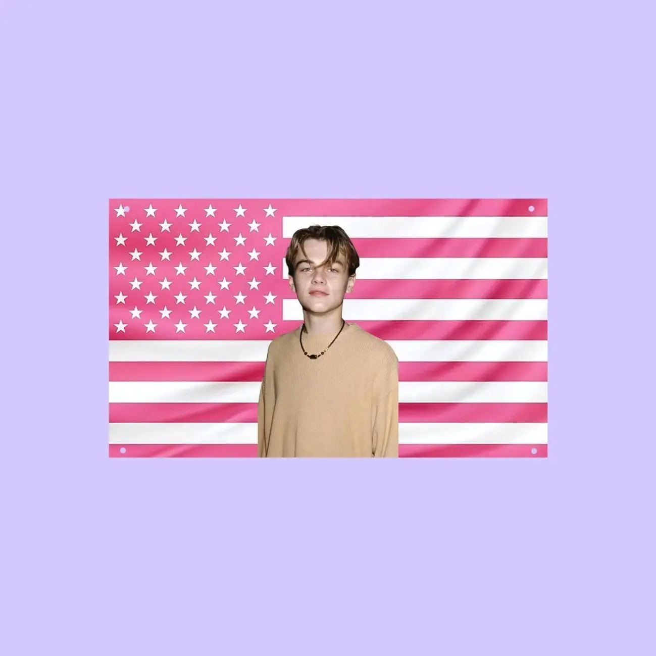 Young Leonardo DiCaprio Pink US Wall Tapestry Flag, Actor Wall Art, 90s Movie Bedroom Decor, Fan Banner
