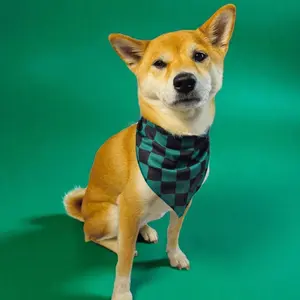 Dark Turquoise Checkered Cooling Bandana