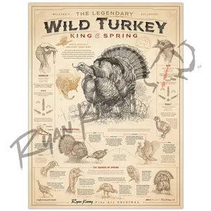"Wild Turkey: King of Spring" Art Poster