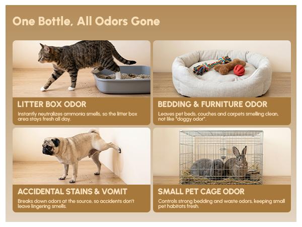 fedpet Pet Deodorizer, Pet Perfume, Enzymes to Break Down Urine, Sage, Grapefruit, Deionized Water, Plant Extracts, Safe and Non-Toxic for Pets, Eliminates Indoor Odors, Air Freshener Spray, 300ml 1:10 Concentrate