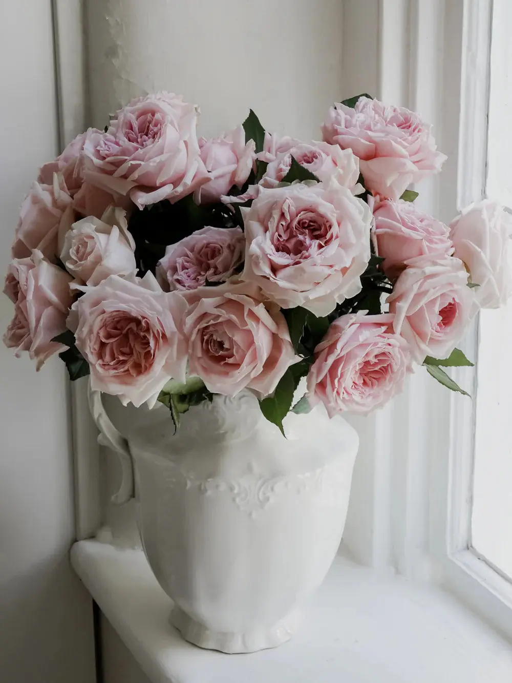 Pink Garden Rose Bouquet (12 Stems Fresh Roses)