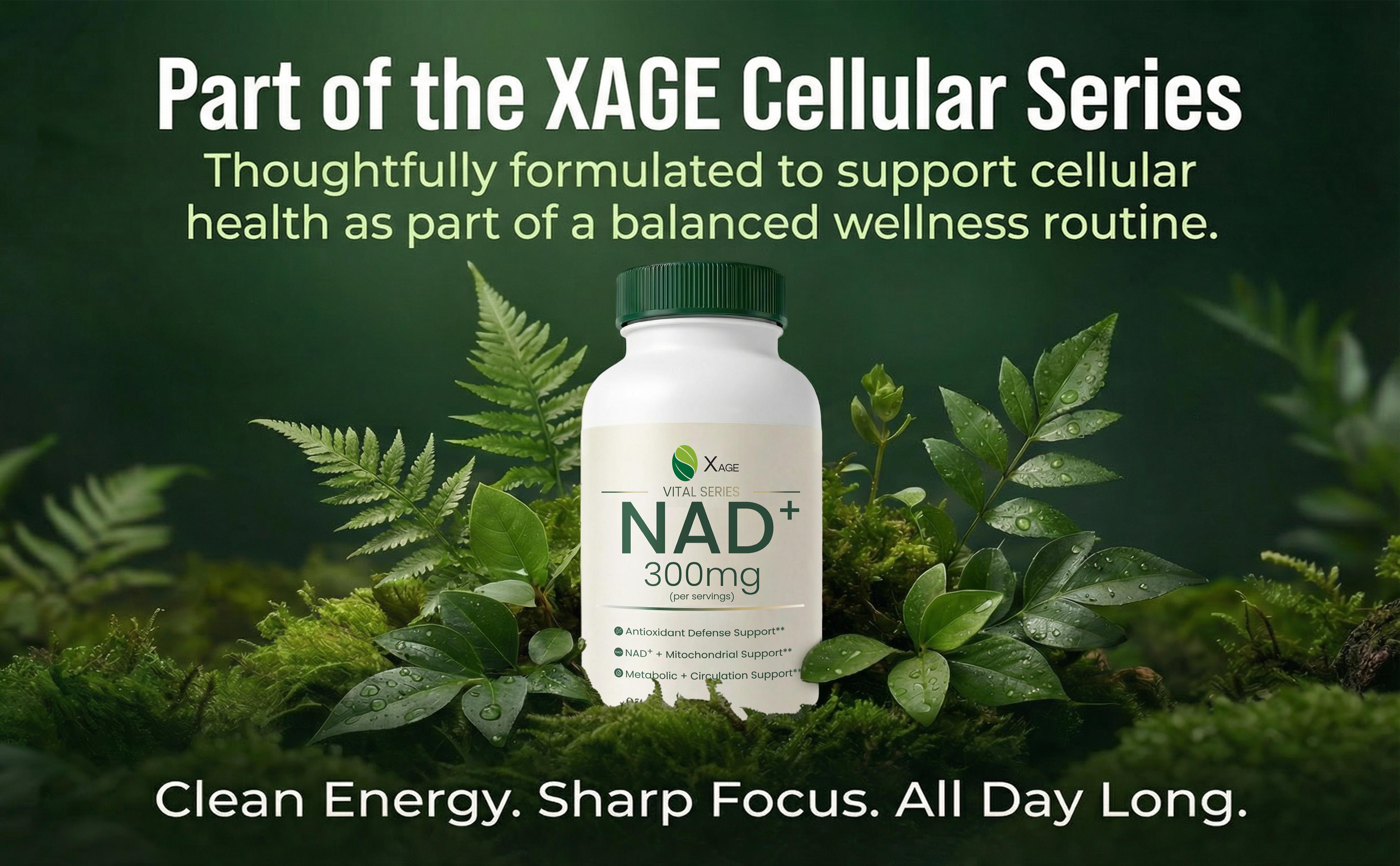 XAGE Vital Series Daily NAD+ Vitality Formula - Cellular Energy & Antioxidant Support, 60 Caps XAGE Vital Series Daily NAD+ Vitality Formula - Cellular Energy & Antioxidant Support, 60 Caps