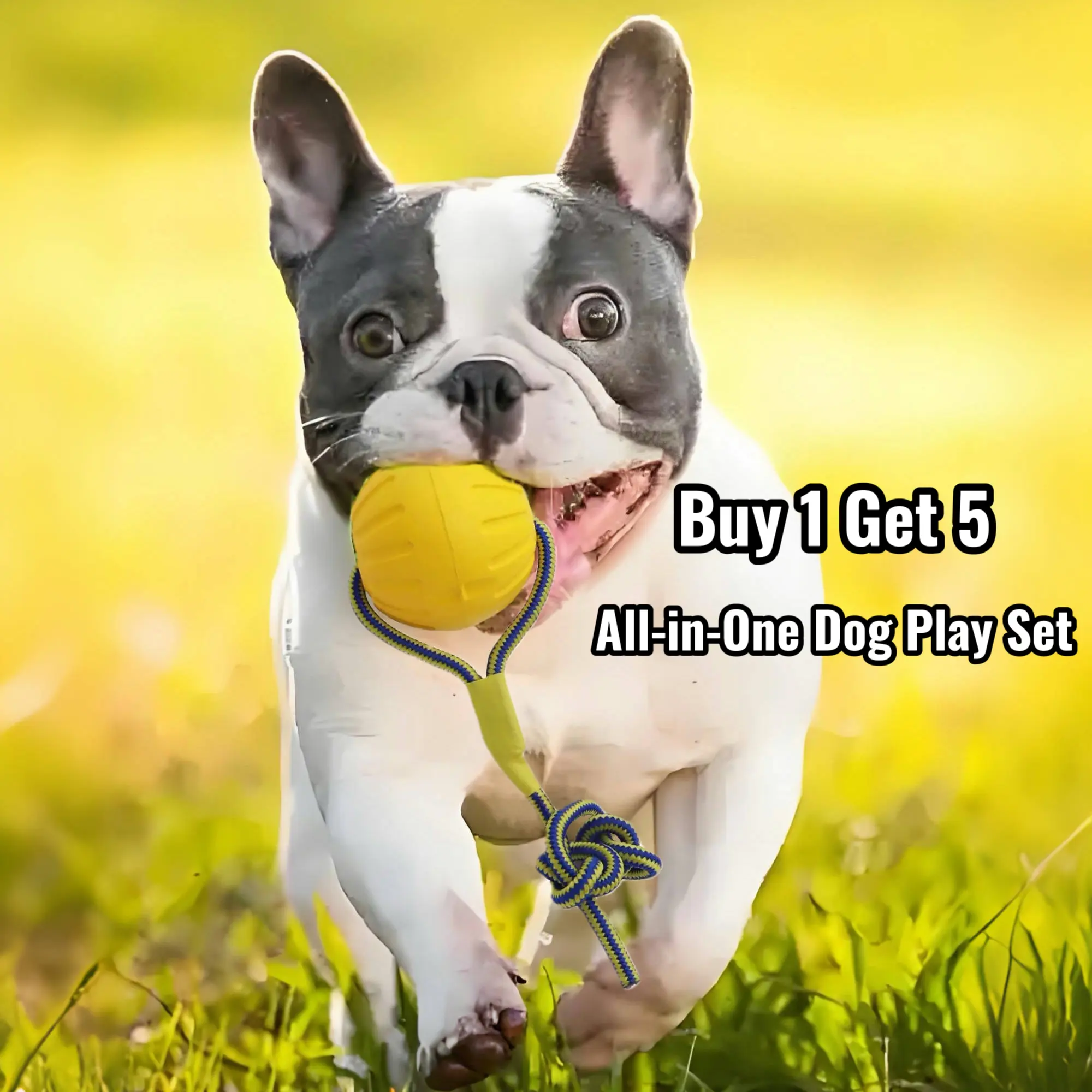 Puppy Toy Set Buy 1 Get 5 Indestructible EVA Dog Toys Chew Proof Frisbee Rope Ball Tug Ring & Floating Fetch for Aggressive Chewers Large Breed Non Toxic Teeth Cleaning Waterproof Glow in the Dark Pendant Included dog toys