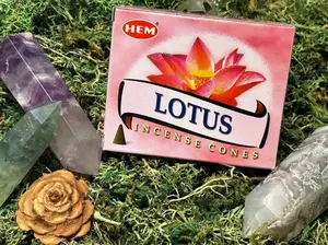 Incense Cones - Lotus E-Commerce Product with Elegant Design and Versatile Use