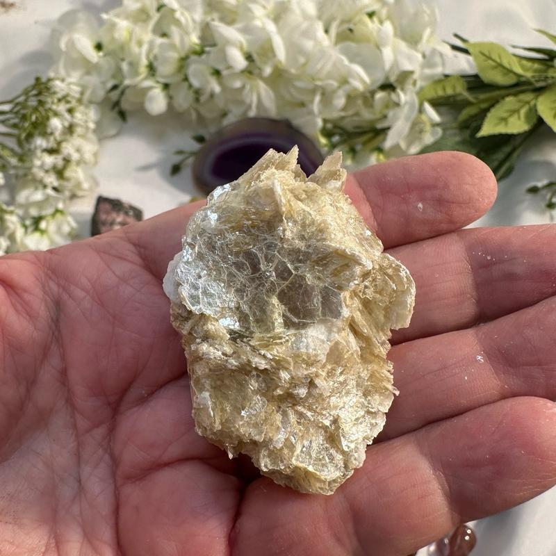 Wowzza Gallon Mining Bucket with Citrine, Amethyst, Muscovite, crazy lace agate and more home decor natural crystal