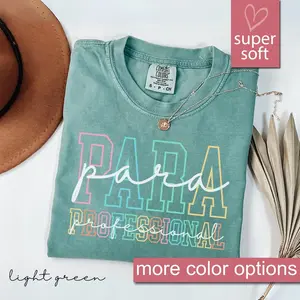 Comfort Colors Paraprofessional Shirt, Para Squad Shirts, Funny Paraprofessional Shirt, Teacher Aide Graphic Tees, Back To School Gift