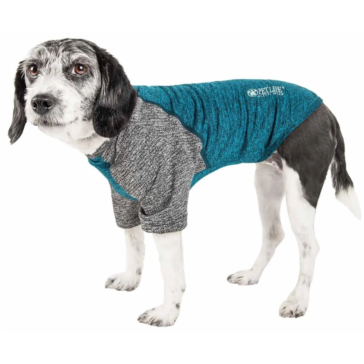 Pet Life TSHL3TLLG Active Hybreed 4-Way Stretch Two-Toned Performance Dog T-Shirt - Teal & Grey, Large