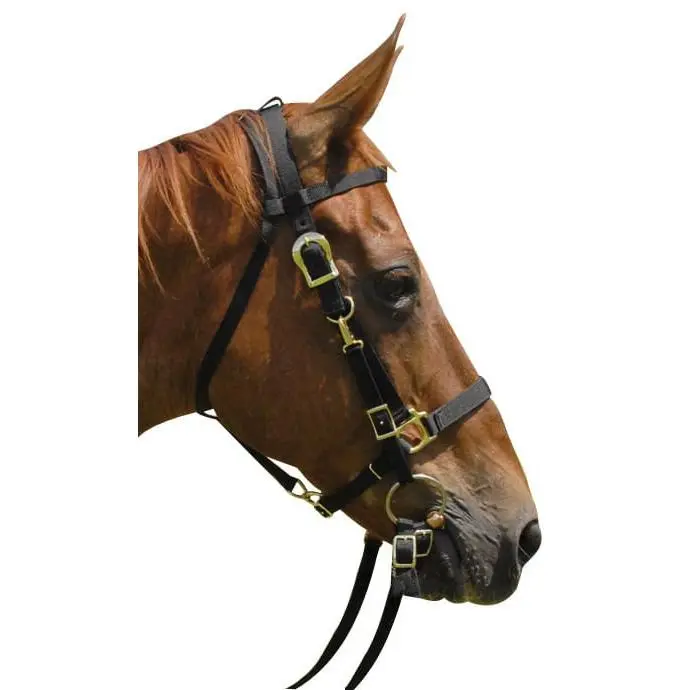 Jeffers Nylon Combination Horse Halter Bridle with Reins Jeffers Nylon Combination Horse Halter Bridle with Reins
