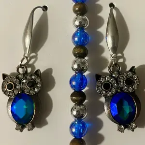 Blue Owl Themed Jewelry Set- Earrings & Bracelet