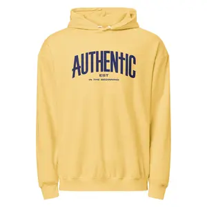 Authentic 33 Hoodie