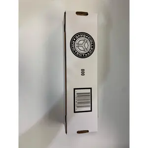 BCW 800 ct storage box