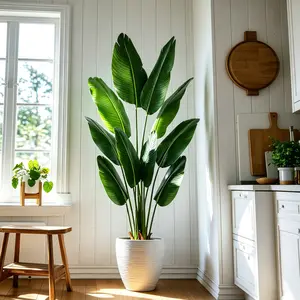 DLDA 5FT/6FT(60in/72in) Artificial Bird of Paradise Tree, Lifelike Plastic Faux Tropical Plant with Natural Leaves, UV Resistant Fake Potted Tree in Black Planter, Low Maintenance Decor for Living Room, Bedroom, Entryway & Office Indoor Home Decor