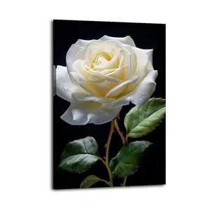 White Roses with Water Illustration Gift For Friend Poster Bed Room Living Room Decor Modern Aesthetic Modern Aesthetic Office Gym Art Posters For Dorm Wall Decor