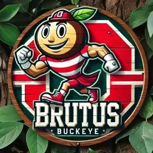 Ohio State Aluminum Sign for Man Cave Living Room Office Home Decor with Team Pride and Modern Design Signage