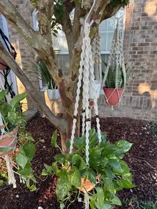 Handmade Macrame Plant Hanger