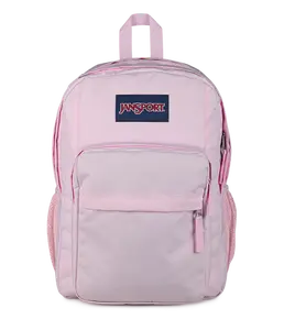 JanSport Unisex Big Plans
