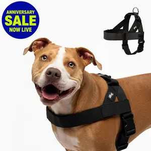 Dog Friendly Co. Harness - Easy to Fit No-Pull Design - Safe Secure and Comfortable - Ideal for All Dogs - Chafe-Resistant Lightweight Straps - Adjustable Straps for Perfect Fit