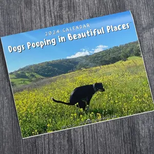 Dogs Pooping in Beautiful Places 2024 Wall Calendar - Great Holiday White Elephant Gag Gift