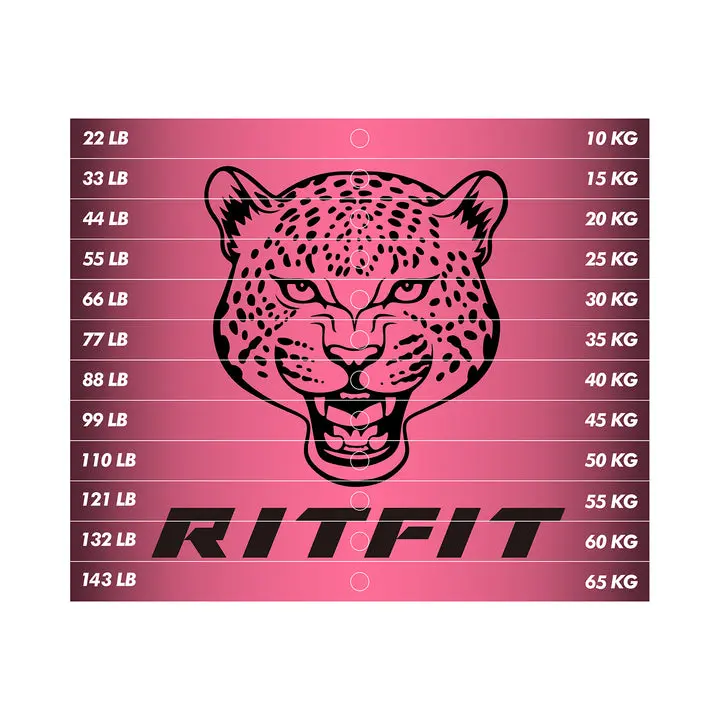 RitFit Premium Patriotic Precision-Designed Durable Weight Stack Stickers, Compatible with M1 PRO, M2 PRO Fitness Exercise Machine Accessories, Strength