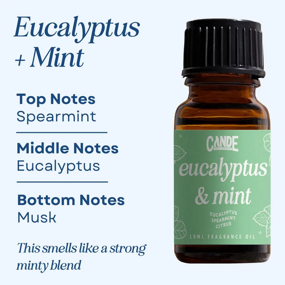 Eucalyptus & Mint