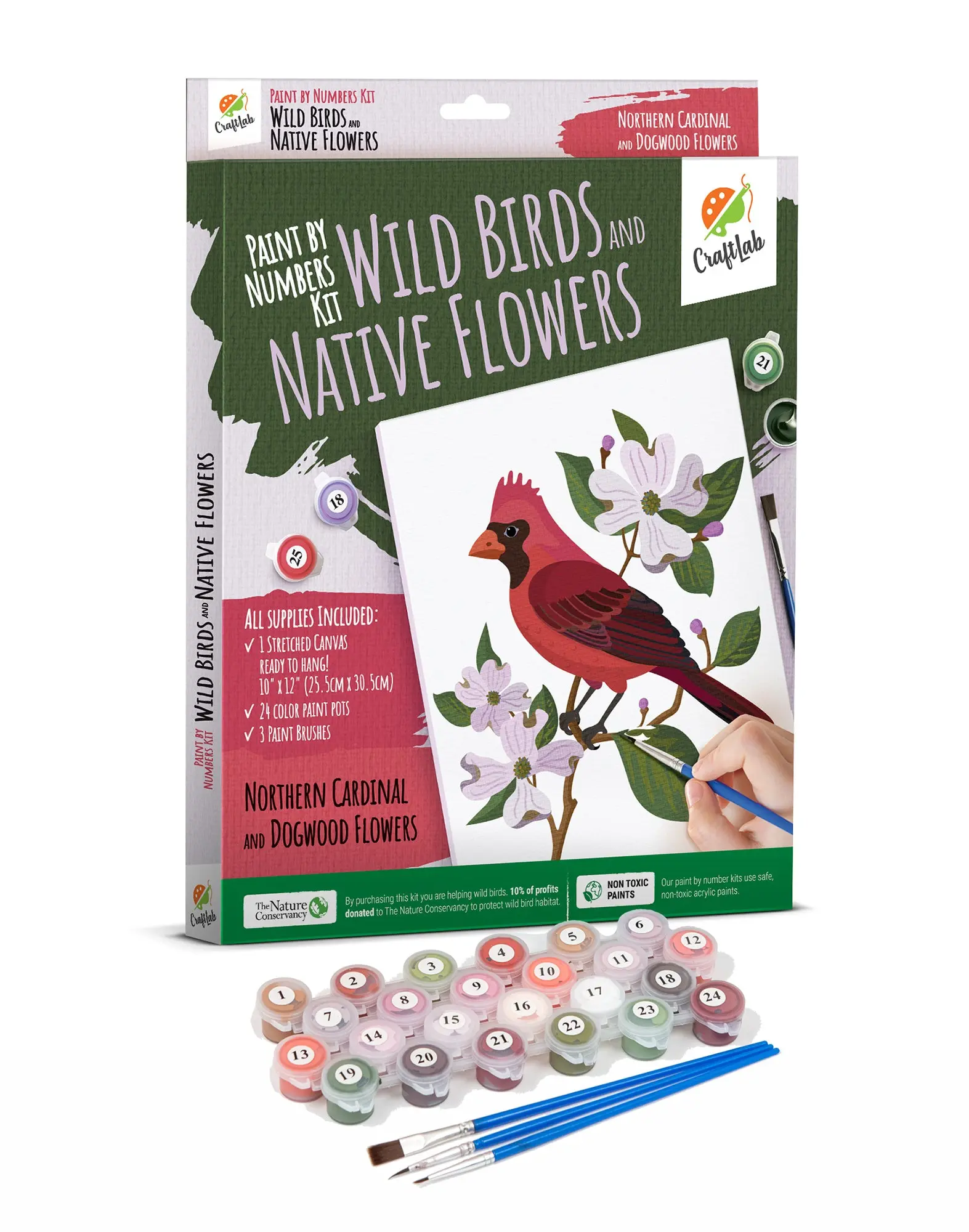 Paint By Numbers Kit for Beginners Adults & Teens