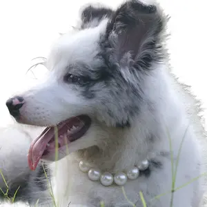 Adjustable Dog Necklace for Birthday Parties, Weddings, and Anniversaries, Perfect for Photoshoots, Stylish Accessory for Special Occasions