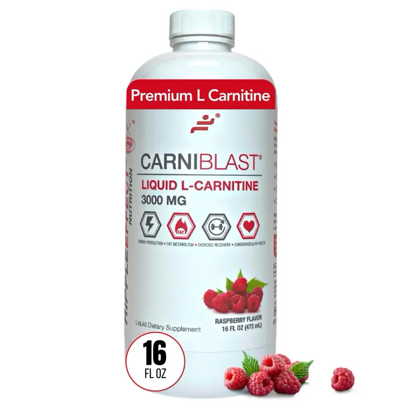carnipure l carnitine vitamin shoppe carnipure carnitine