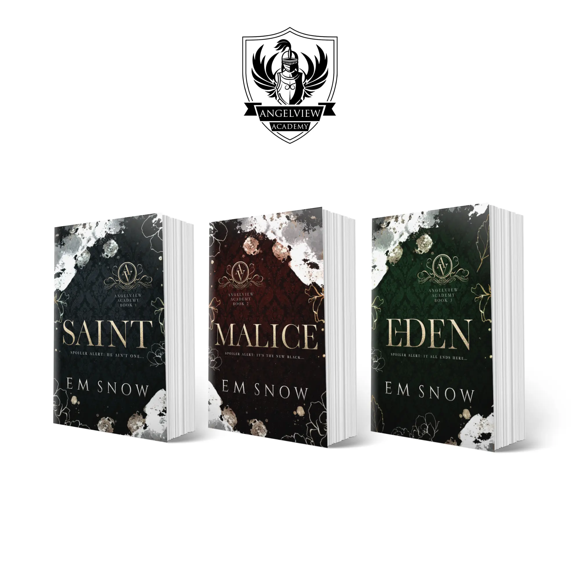 Angelview Academy Book Bundle with Author Signature Soft Cover lover