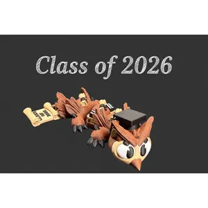 Graduation Owl Dragon Figurine – Class of 2026 Graduation Gift – Fantasy Graduate Decor