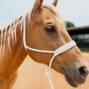 Rodeo Drive Horse Size Mule Tape Halter with Removable Lead Rope Comfort Fit Available in fifteen Color Combinations