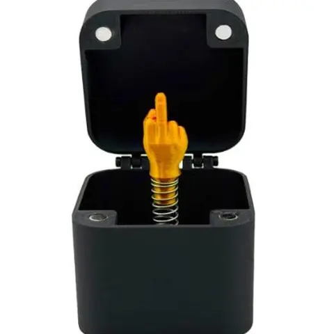 Finger in a Box Just for You, Pop up Prank Box with Middle Finger, Surprise Gift Gag, Flip Off Finger Jack in The Boxs