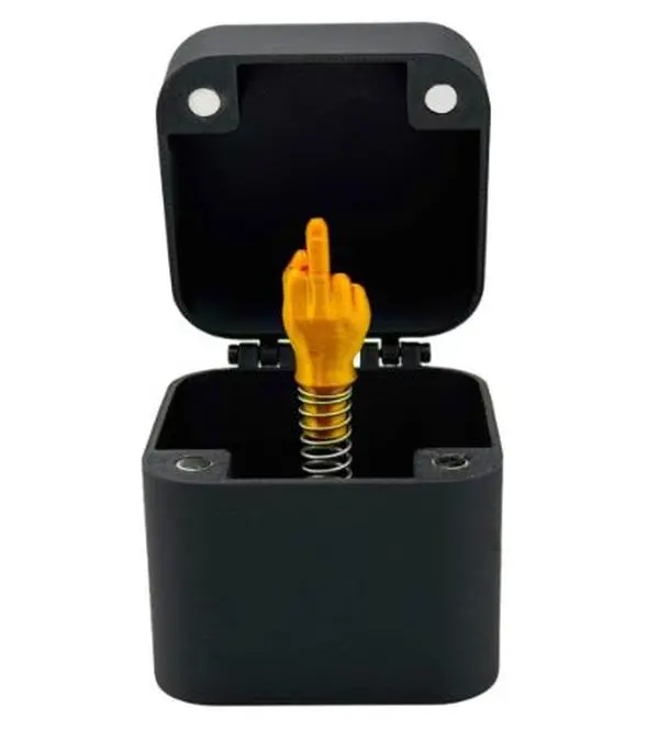 Finger in a Box Just for You, Pop up Prank Box with Middle Finger, Surprise Gift Gag, Flip Off Finger Jack in The Boxs