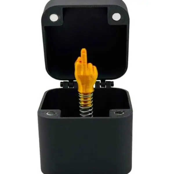 Finger in a Box Just for You, Pop up Prank Box with Middle Finger, Surprise Gift Gag, Flip Off Finger Jack in The Boxs