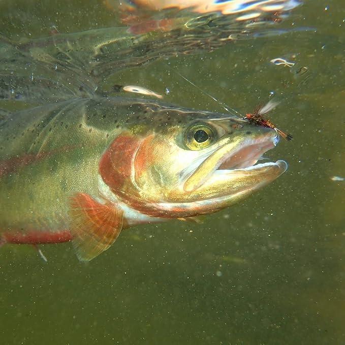 Fly Fishing Flies Kit 30 Dry Wet Streamer Nymph Lures Bass Trout Salmon Fishing