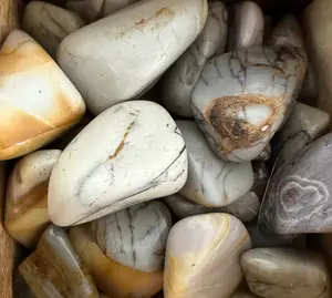 Idaho owyhee jasper tumbles