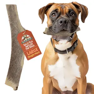 Heartland Antlers Large Split Elk Antler Dog Chew | 7" Long | 4-5 oz | For Dogs 45-65 lbs | Natural & Durable