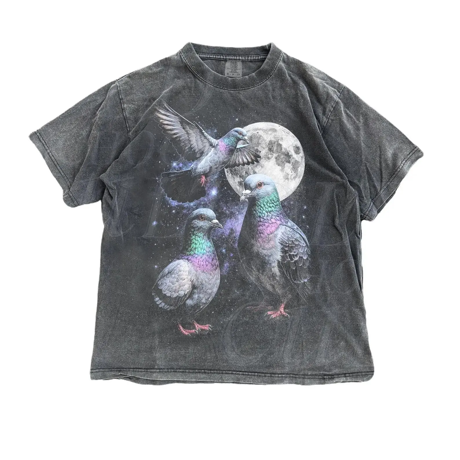 vintage Three Pigeon Retro Graphic T-shirts, Vintage Pigeon Moon Tshirt, Bird Watching Lovers, Funny Brid Tee, Oversized Washed Tee, Silly Gift