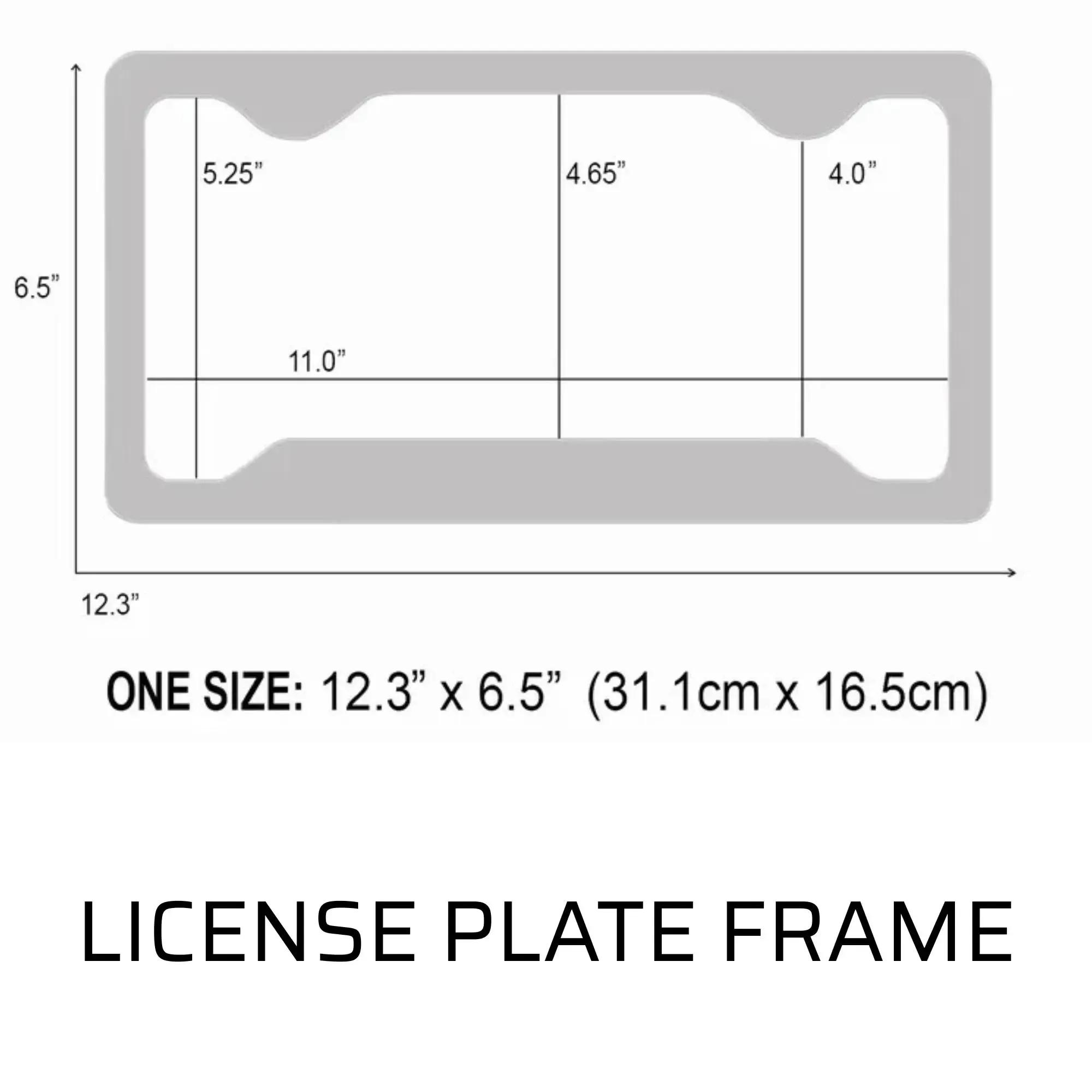 [ Trending ] License Plate Collection 1 - 12x6 Aluminum Decorative Tags - Aesthetic New Car Gift - Variety Pack Custom Vanity Plates