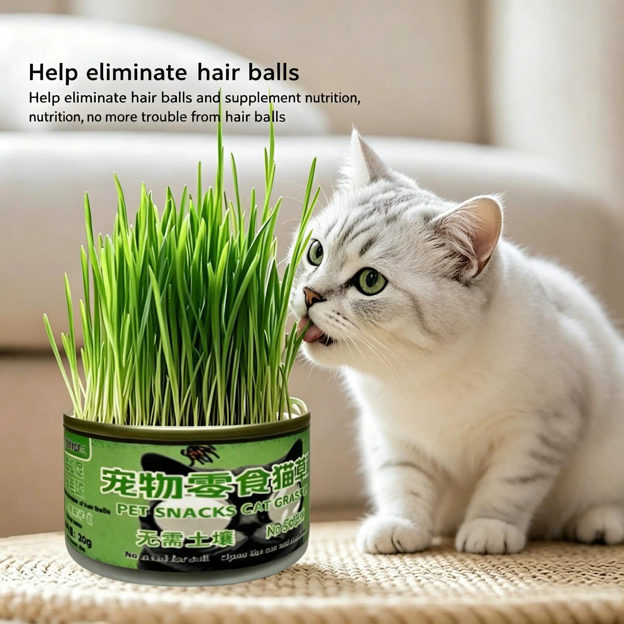 Cat Grass Grow Kit for Indoor Cats, Just Add Water Cat Grass in a Can, Fast Growing Wheat Grass, No Soil Needed, Natural Fiber Source, Supports Healthy Digestion & Hairball Control, Fresh Pet Grass for Cat Wellness and Indoor Enrichment