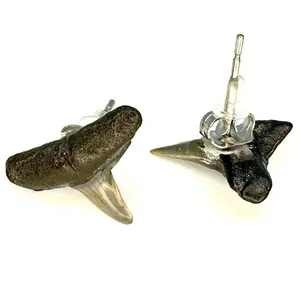SHRKco - REAL Shark Tooth Stud Earrings - Fossilized Sharks Teeth Jewelry - Ethical Fossils Found in Florida - Handmade Earrings,Women & Girls jewelry