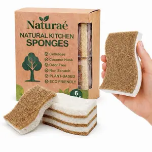Clean Kitchen Sponges – Individually Wrapped Coconut Cellulose Sponge Set (6 Pack), Hygienic & Odor-Free, Non-Scratch Eco Friendly Dish Scrubber, Plant-Based Natural Sponges for Kitchen Cleaning & Everyday Use