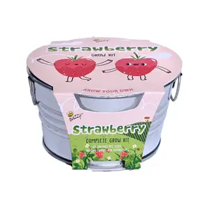 Kids Strawberry Grow Kit | Mini Galvanized Basin