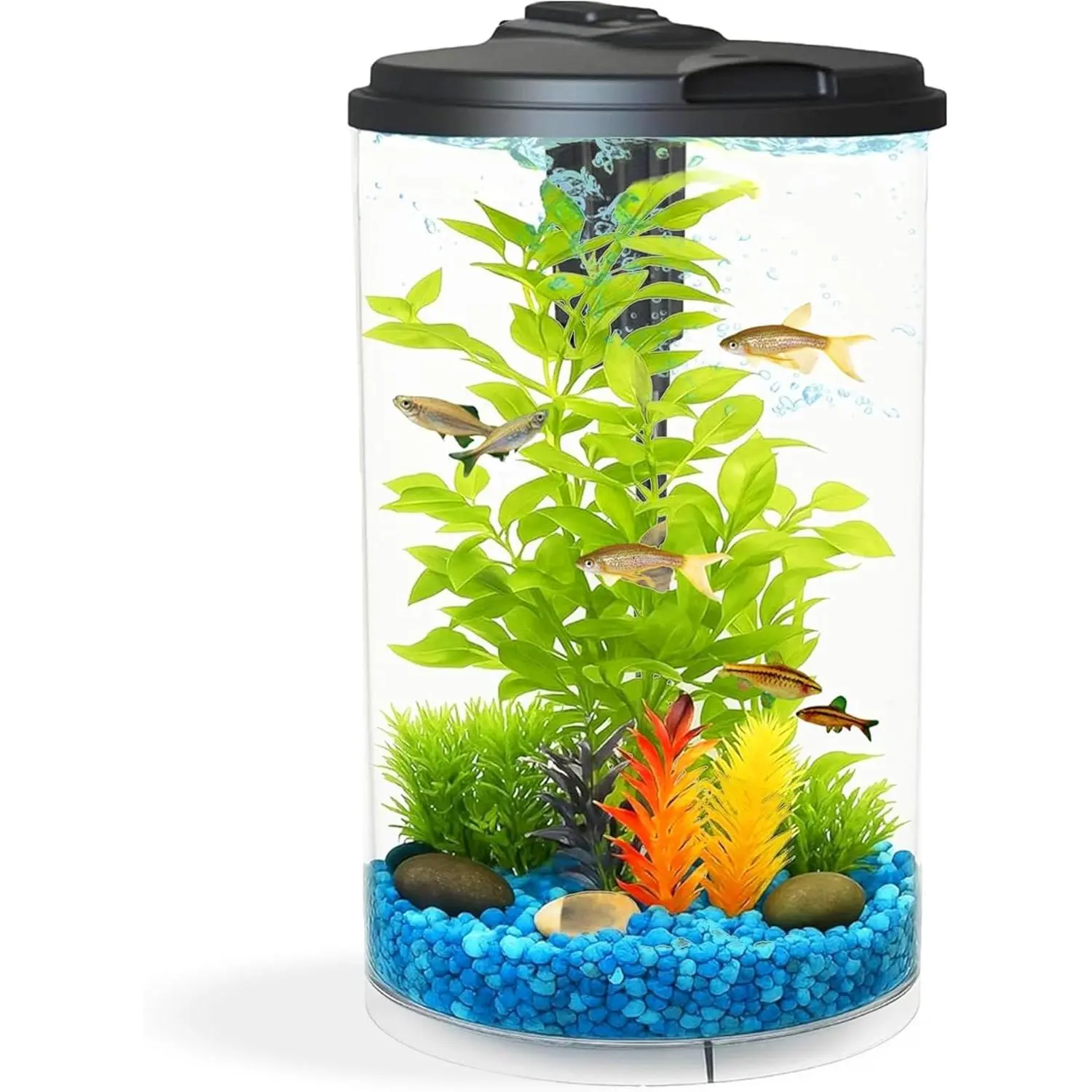 Koller Products AquaView 3 Gallon 360 Degree Aquarium with 7 Color LED Lighting Power Filter 10.25x10.25x14.5 Inches Fish Tank