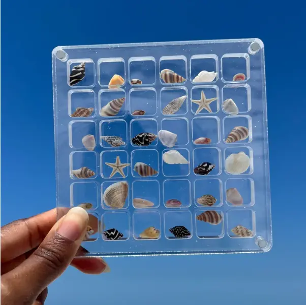 Putting the Sea in a Box - SeaShell Display Case(36 Grid)