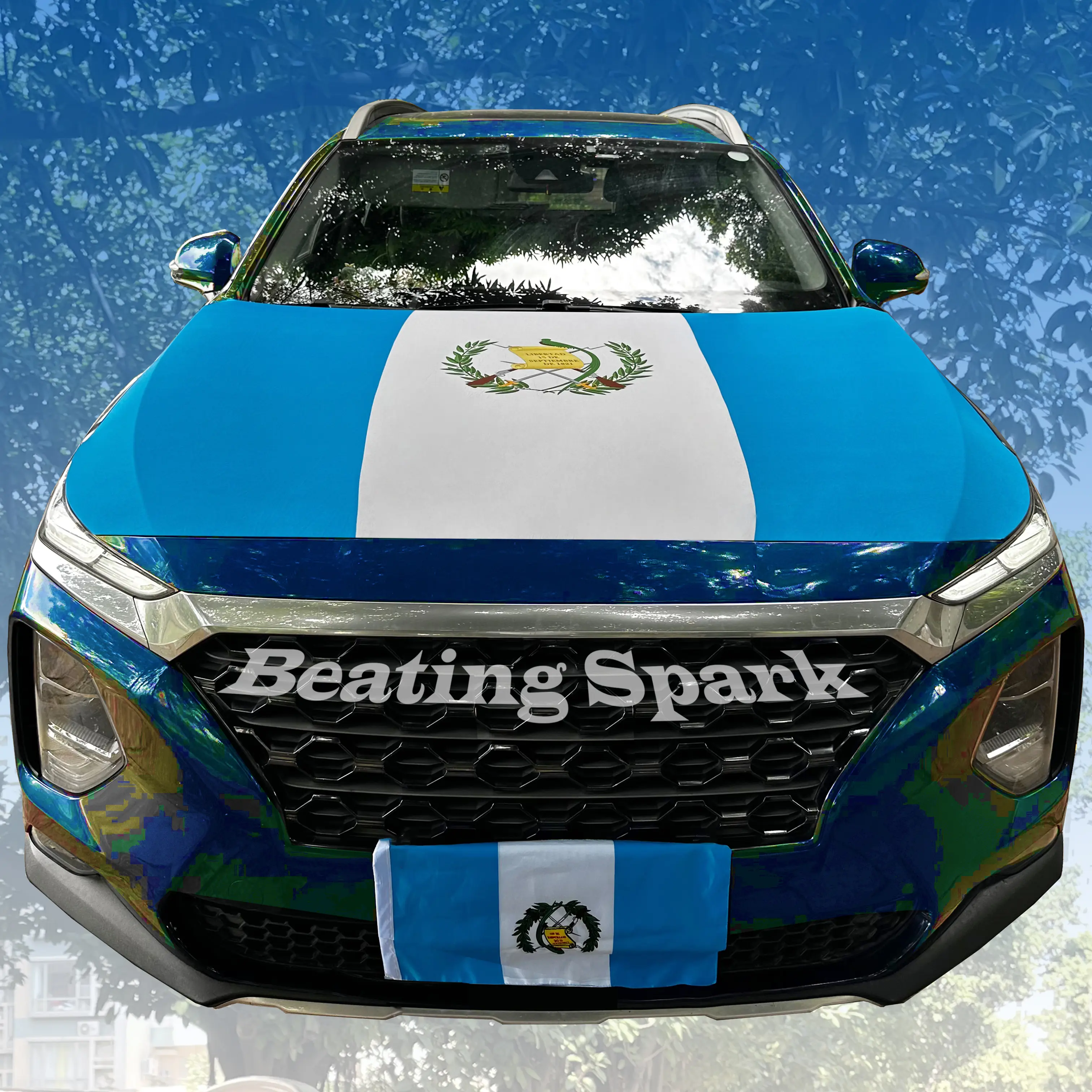 Guatemala Car Hood Flag, Bandera Guatemala, 4*5ft, Car Bonnet Decor, Guatemala Independence Day Sept.15th, Triangle Fasteners Available Separately
