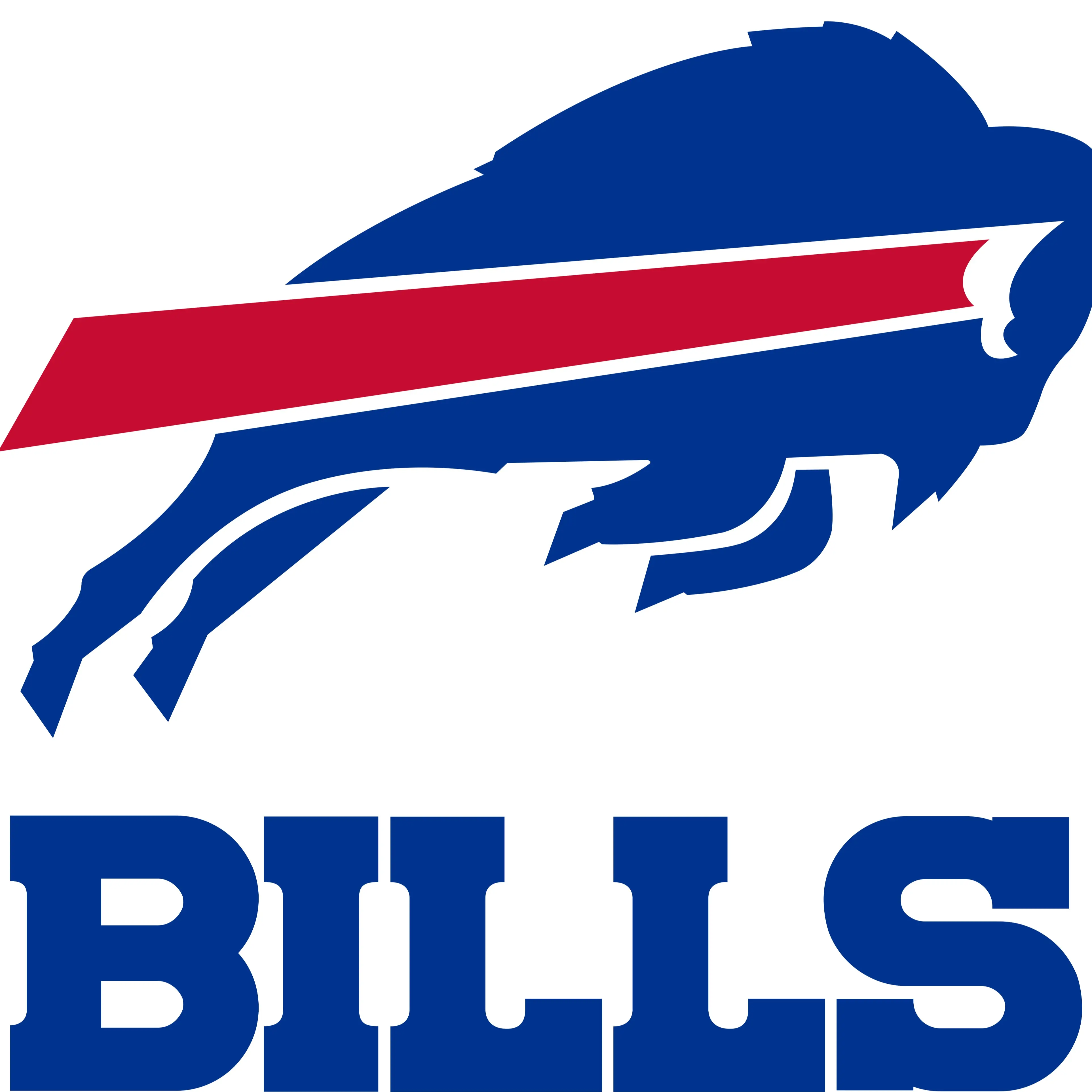 Buffalo Bills