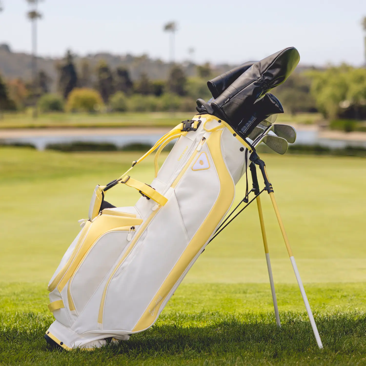 Ryder | Mindy Lemon Full Size Stand Bag - TikTok Shop