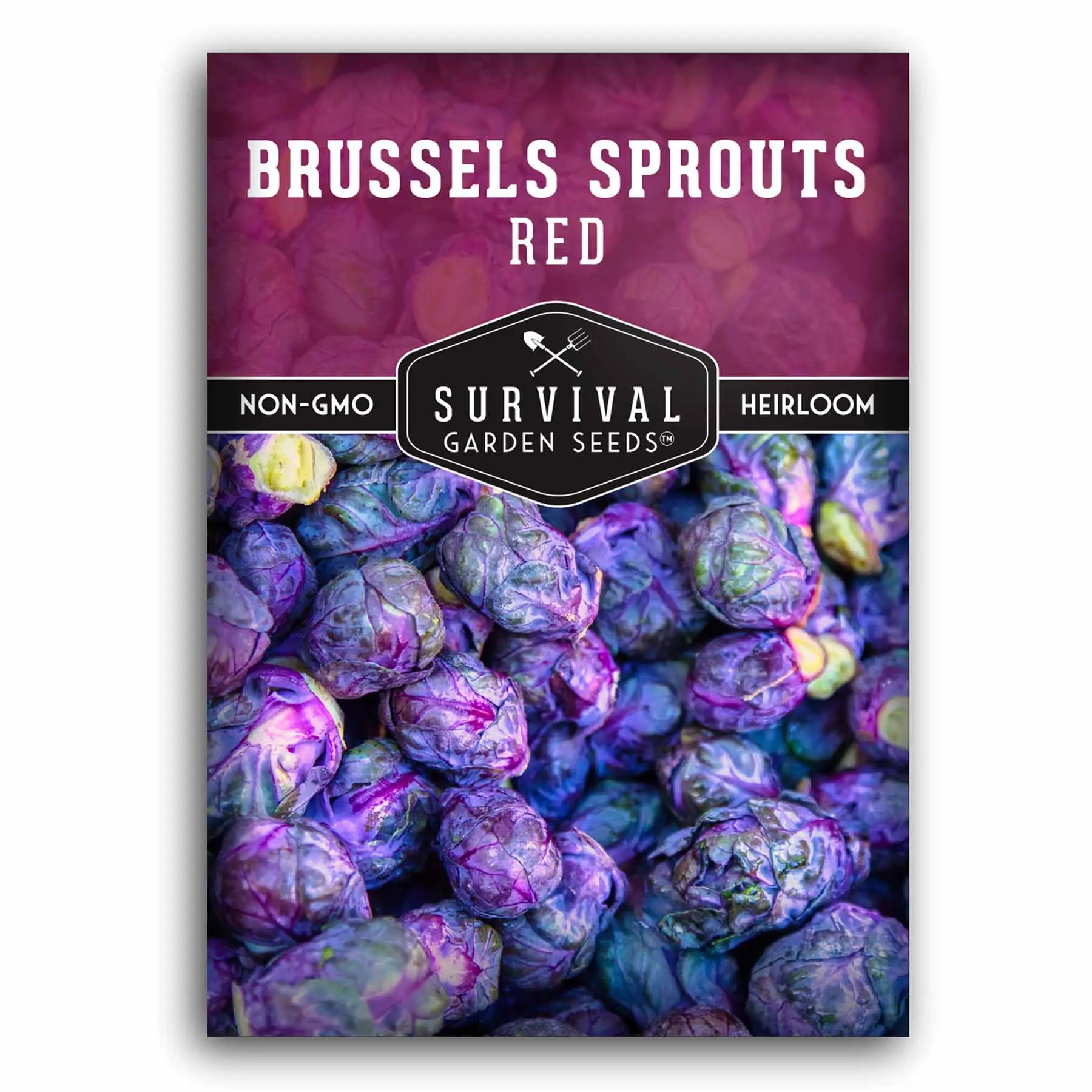 Red Brussels Sprout Seeds – Heirloom Non-GMO Purple Variety Red Brussels Sprout Seeds – Heirloom Non-GMO Purple Variety