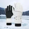 Touchscreen Winter Gloves Waterproof Windproof Thermal Ski Snowboard Cycling Climbing Warm Gloves for Women Men Cold Weather Protection Outdoor Sport Insulation Snowboarding Snug Fit Extreme Cold